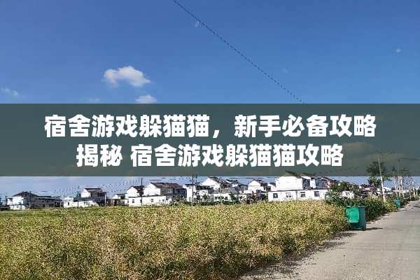 宿舍游戏***，新手必备攻略揭秘 宿舍游戏***攻略