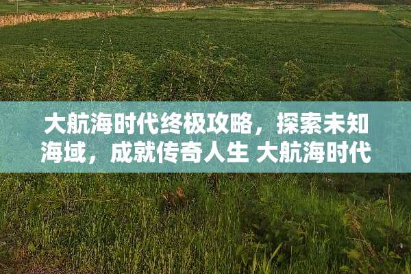 大航海时代终极攻略,探索未知海域,成就传奇人生 大航海时代游戏攻略 大航海时代终极攻略,探索未知海域,成就传奇人生 大航海时代游戏攻略
