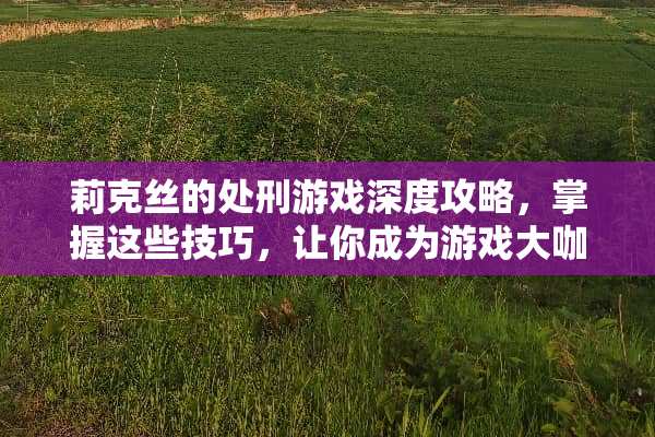 莉克丝的处刑游戏深度攻略，掌握这些技巧，让你成为游戏大咖！ 莉克丝的处刑游戏攻略