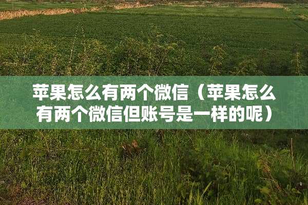 苹果怎么有两个微信（苹果怎么有两个微信但账号是一样的呢）