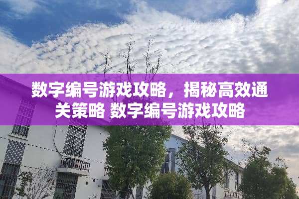 数字编号游戏攻略，揭秘高效通关策略 数字编号游戏攻略