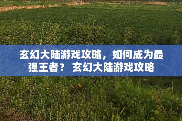 玄幻**游戏攻略，如何成为最强王者？ 玄幻**游戏攻略