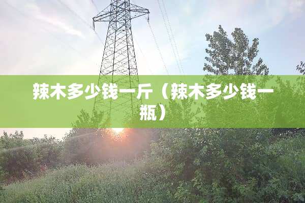辣木多少钱一斤（辣木多少钱一瓶）