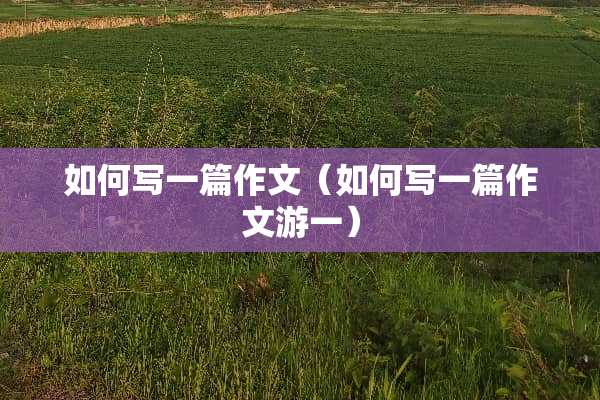 如何写一篇作文(如何写一篇作文游一) 如何写一篇作文(如何写一篇作文游一)