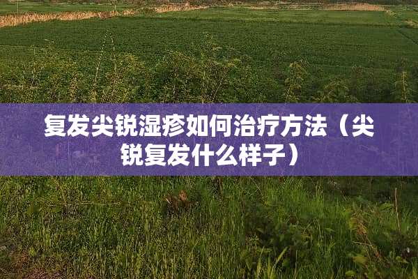 复发尖锐湿疹如何治疗方法（尖锐复发什么样子）