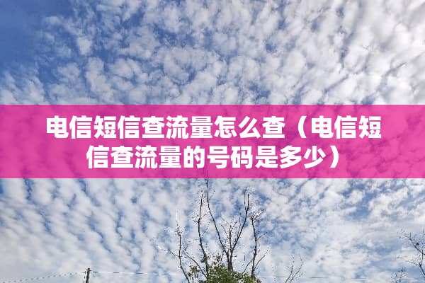 电信短信查流量怎么查（电信短信查流量的号码是多少）