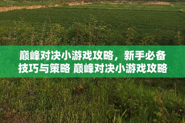 巅峰对决小游戏攻略，新手必备技巧与策略 巅峰对决小游戏攻略