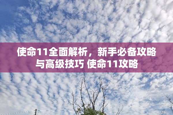 使命11全面解析，新手必备攻略与高级技巧 使命11攻略