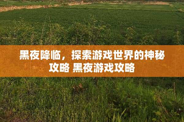 黑夜降临,探索游戏世界的神秘攻略 黑夜游戏攻略 黑夜降临,探索游戏世界的神秘攻略 黑夜游戏攻略