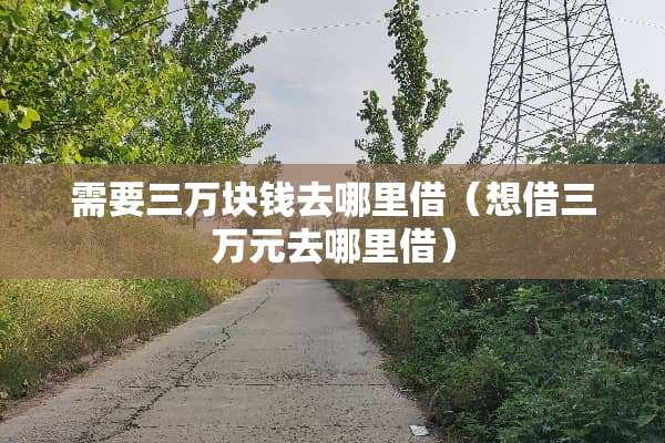 需要三万块钱去哪里借（想借三万元去哪里借）