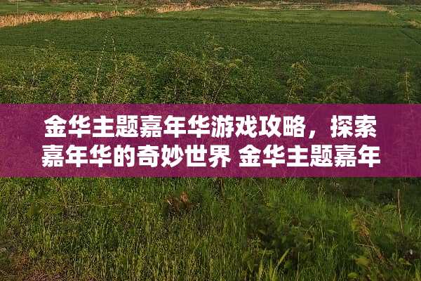 金华主题嘉年华游戏攻略，探索嘉年华的奇妙世界 金华主题嘉年华游戏攻略