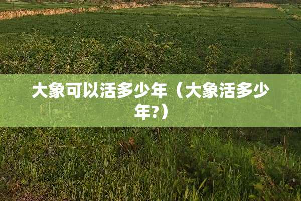 大象可以活多少年（大象活多少年?）
