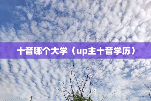 十音哪个大学（up主十音学历）