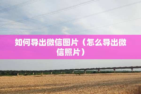 如何导出微信图片（怎么导出微信照片）