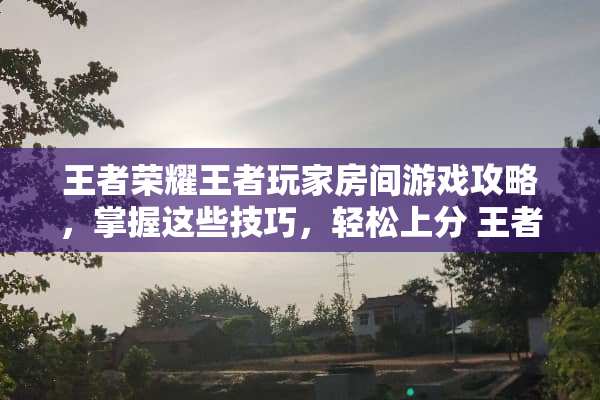 王者荣耀王者玩家房间游戏攻略，掌握这些技巧，轻松上分 王者玩家房间游戏攻略