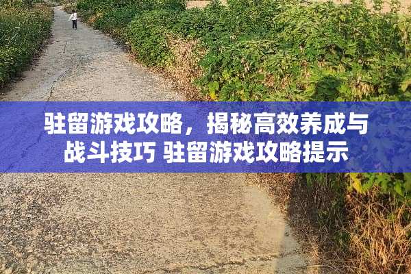 驻留游戏攻略，揭秘高效养成与战斗技巧 驻留游戏攻略提示