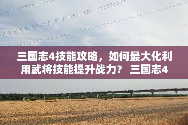 三国志4技能攻略，如何最大化利用武将技能提升战力？ 三国志4技能