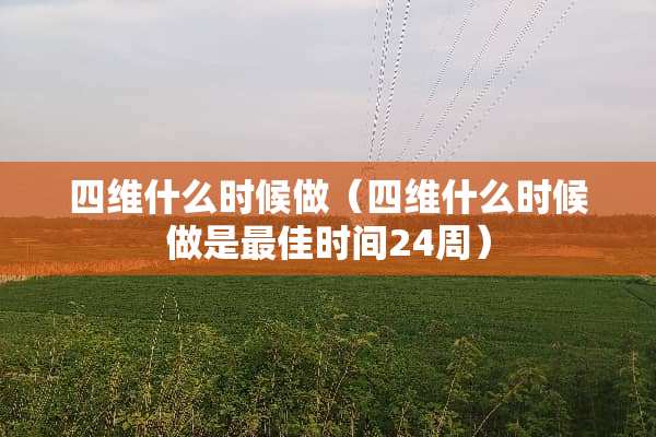 四维什么时候做（四维什么时候做是最佳时间24周）
