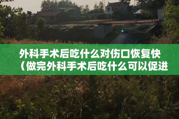 外科手术后吃什么对伤口恢复快（做完外科手术后吃什么可以促进伤口的愈合）