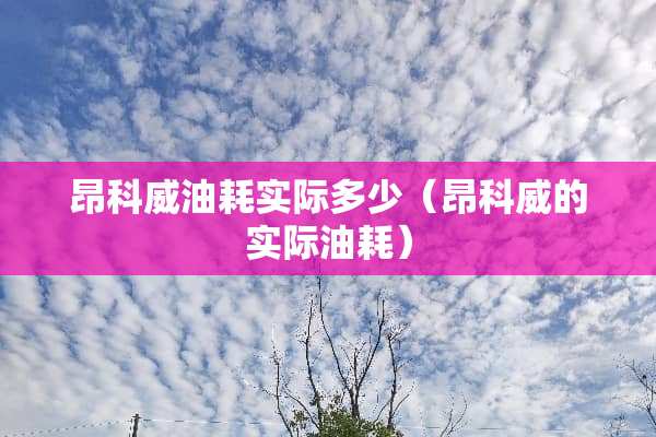 昂科威油耗实际多少（昂科威的实际油耗）