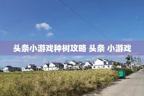 头条小游戏种树攻略 头条 小游戏