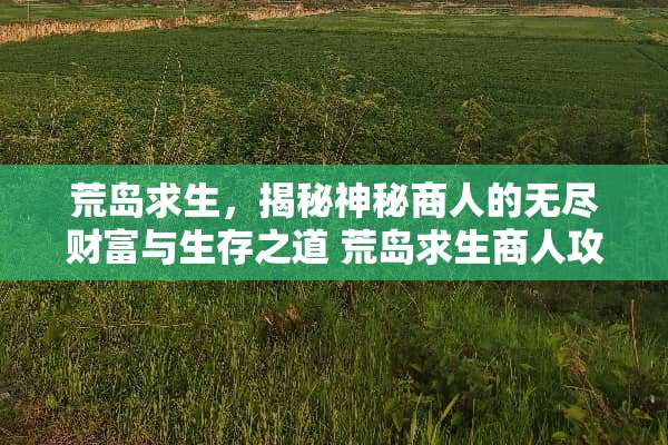 荒岛求生，揭秘神秘商人的无尽财富与生存之道 荒岛求生商人攻略游戏