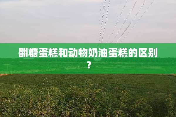 翻糖蛋糕和动物奶油蛋糕的区别？