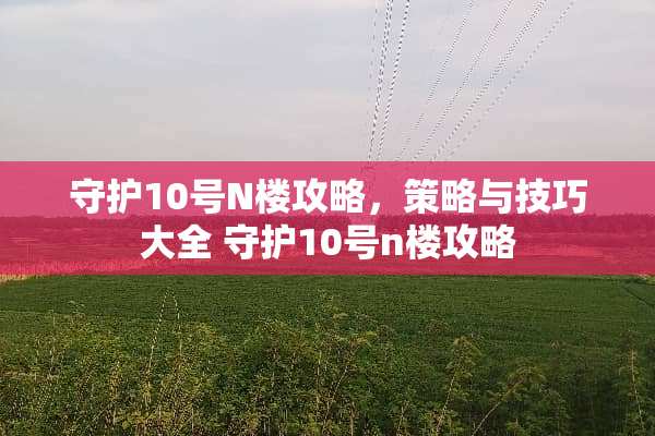 守护10号N楼攻略，策略与技巧大全 守护10号n楼攻略