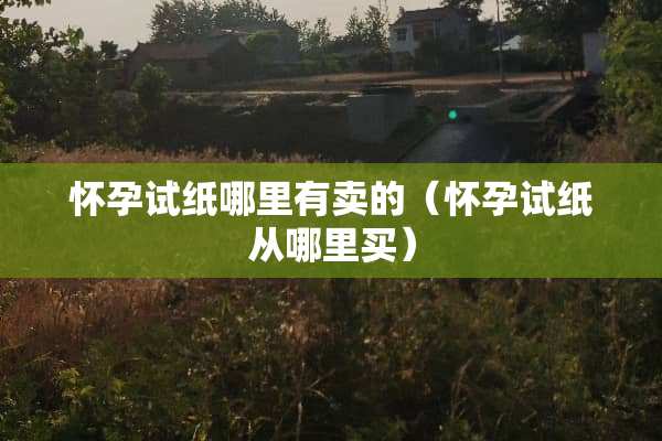 怀孕试纸哪里有卖的（怀孕试纸从哪里买）