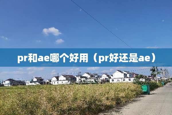 pr和ae哪个好用（pr好还是ae）
