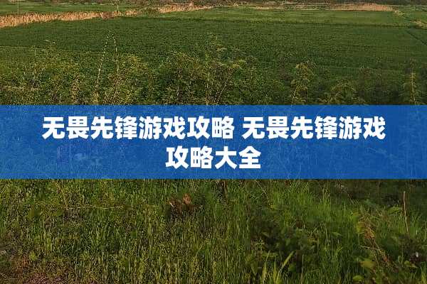 无畏先锋游戏攻略 无畏先锋游戏攻略大全