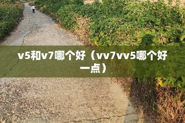 v5和v7哪个好（vv7vv5哪个好一点）