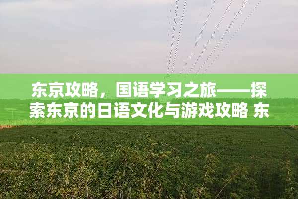 东京攻略，国语学习之旅——探索东京的日语文化与游戏攻略 东京攻略国语