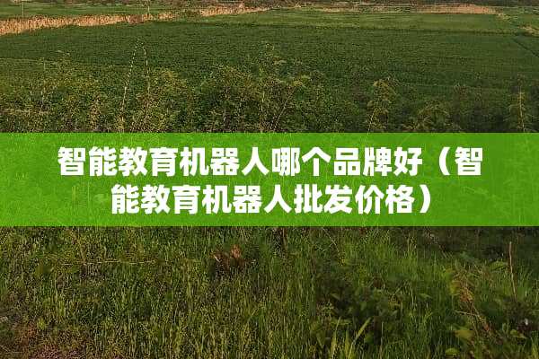 智能教育机器人哪个品牌好（智能教育机器人批发价格）