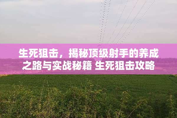 生死**，揭秘**射手的养成之路与实战秘籍 生死**攻略