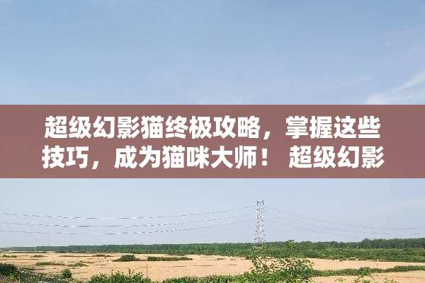 超级幻影猫终极攻略，掌握这些技巧，成为猫咪大师！ 超级幻影猫攻略