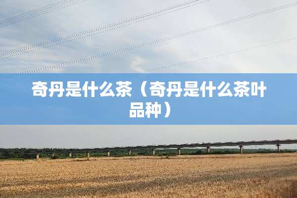 奇丹是什么茶（奇丹是什么茶叶品种）