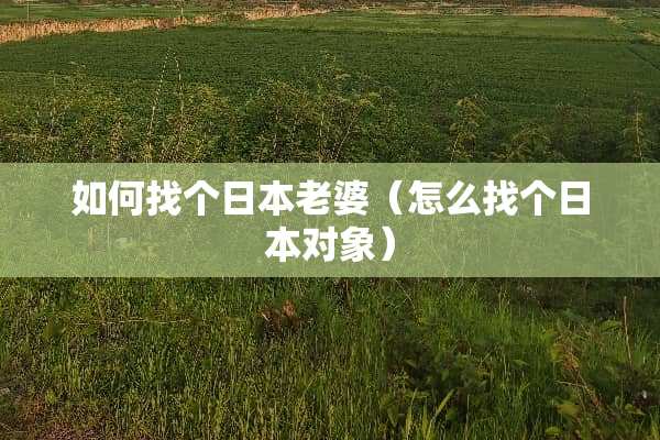 如何找个日本老婆（怎么找个日本对象）