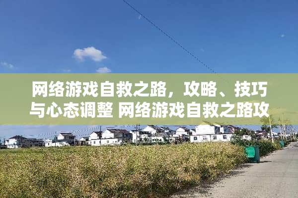 网络游戏自救之路，攻略、技巧与心态调整 网络游戏自救之路攻略