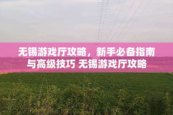 无锡游戏厅攻略，新手必备指南与高级技巧 无锡游戏厅攻略