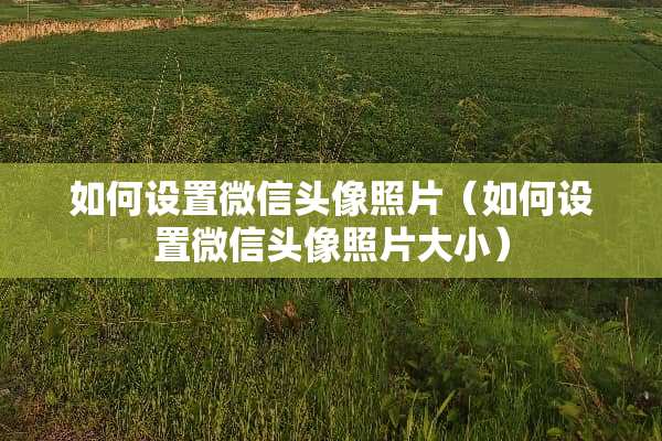 如何设置微信头像照片(如何设置微信头像照片大小) 如何设置微信头像照片(如何设置微信头像照片大小)