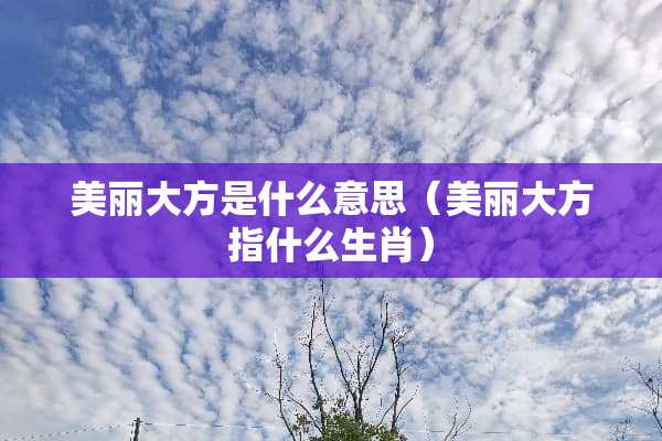 美丽大方是什么意思（美丽大方指什么生肖）