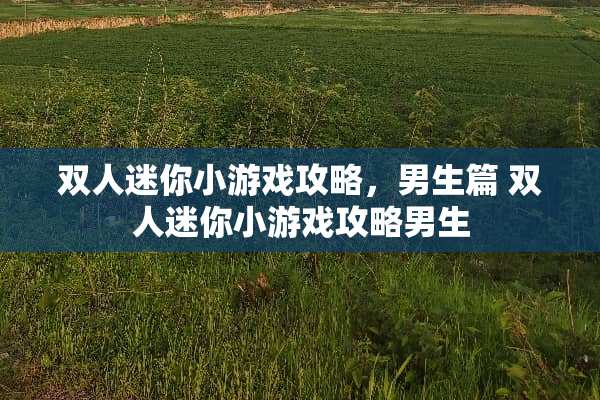 双人迷你小游戏攻略,男生篇 双人迷你小游戏攻略男生 双人迷你小游戏攻略,男生篇 双人迷你小游戏攻略男生