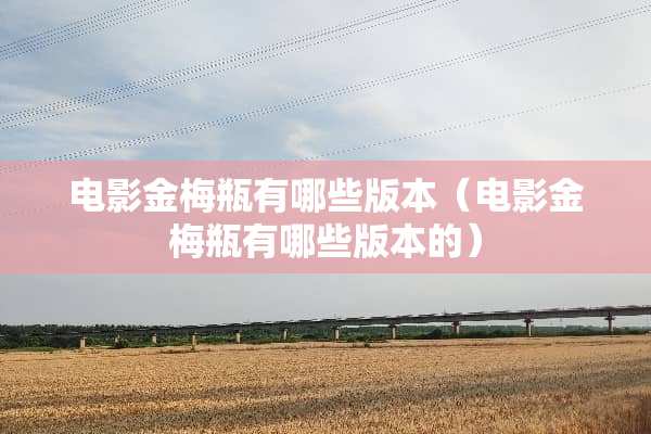 电影金梅瓶有哪些版本（电影金梅瓶有哪些版本的）