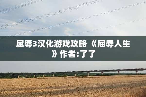 屈辱3汉化游戏攻略 《屈辱人生》作者:了了