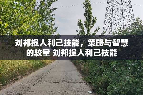 刘邦损人利己技能,策略与智慧的较量 刘邦损人利己技能 刘邦损人利己技能,策略与智慧的较量 刘邦损人利己技能