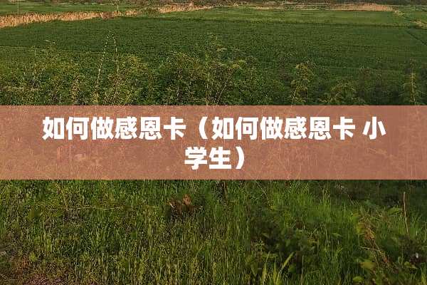 如何做感恩卡（如何做感恩卡 小学生）