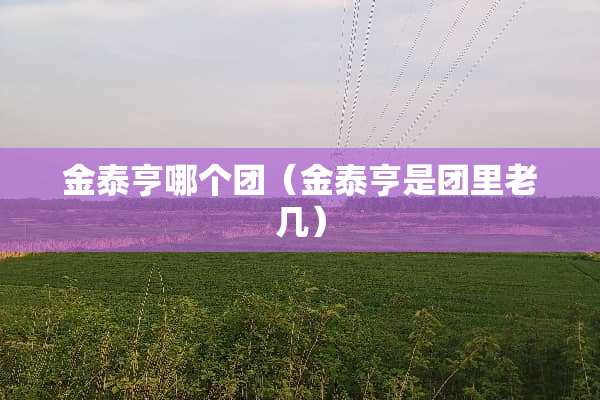 金泰亨哪个团（金泰亨是团里老几）