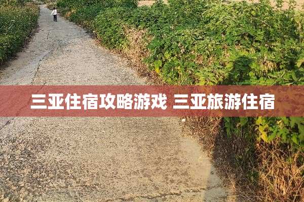 三亚住宿攻略游戏 三亚旅游住宿