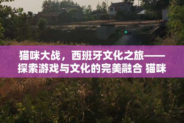 猫咪大战，西班牙文化之旅——探索游戏与文化的完美融合 猫咪大战西班牙游戏攻略